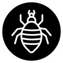 Louse icon