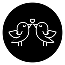 Lover birds icon