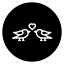 Lover birds icon