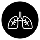 Lung icon