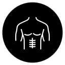 Male Torso Abs icon