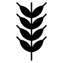 Malt Barley Stalk icon