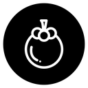 Mangosteen icon