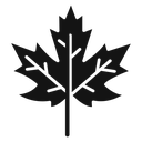 Maple leaf icon
