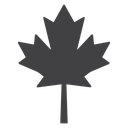 Maple leaf icon