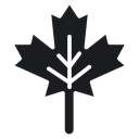Maple Leaf 4 icon
