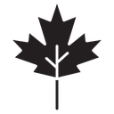 Maple leaf 2 icon