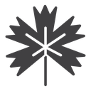 Maple Leaf icon