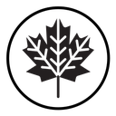 Maple leaf icon