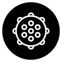 Massage ball 2 icon
