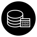 Master data icon