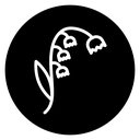 May lily icon