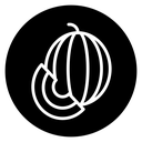 Melon 2 icon