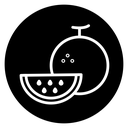 Melon icon