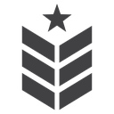 Military insignia icon