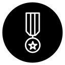 Military medal icon