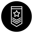 Military rank badge 2 icon