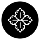 Mint icon