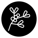 Mistletoe icon