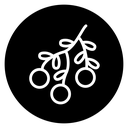 Mistletoe icon