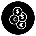 Money icon