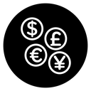Money icon