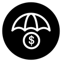 Money Insurance icon