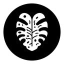 Monstera deliciosa plant leaf icon