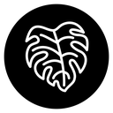 Monstera deliciosa plant leaf icon