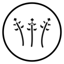 Monstera leaves icon