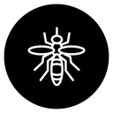 Mosquito 2 icon