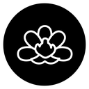 Moth orchid icon