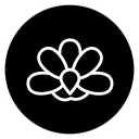 Moth orchid 2 icon