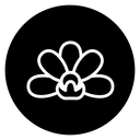 Moth orchid icon