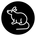 Mouse animal icon