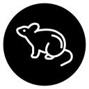 Mouse animal icon