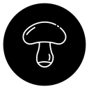 Mushroom 2 icon