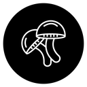 Mushroom 2 icon