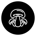 Mushroom 3 icon
