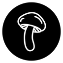 Mushroom 2 icon