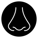 Nose icon