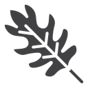 Oak Leaf icon