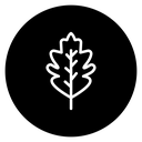 Oak Leaf 2 icon