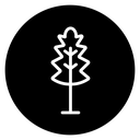 Oak Leaf icon