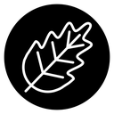 Oak leaf with veins icon