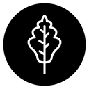 Oak Leaf Black Filled icon