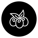 Olive 3 icon