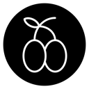 Olive icon