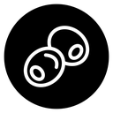 Olive icon