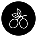 Olives 2 icon